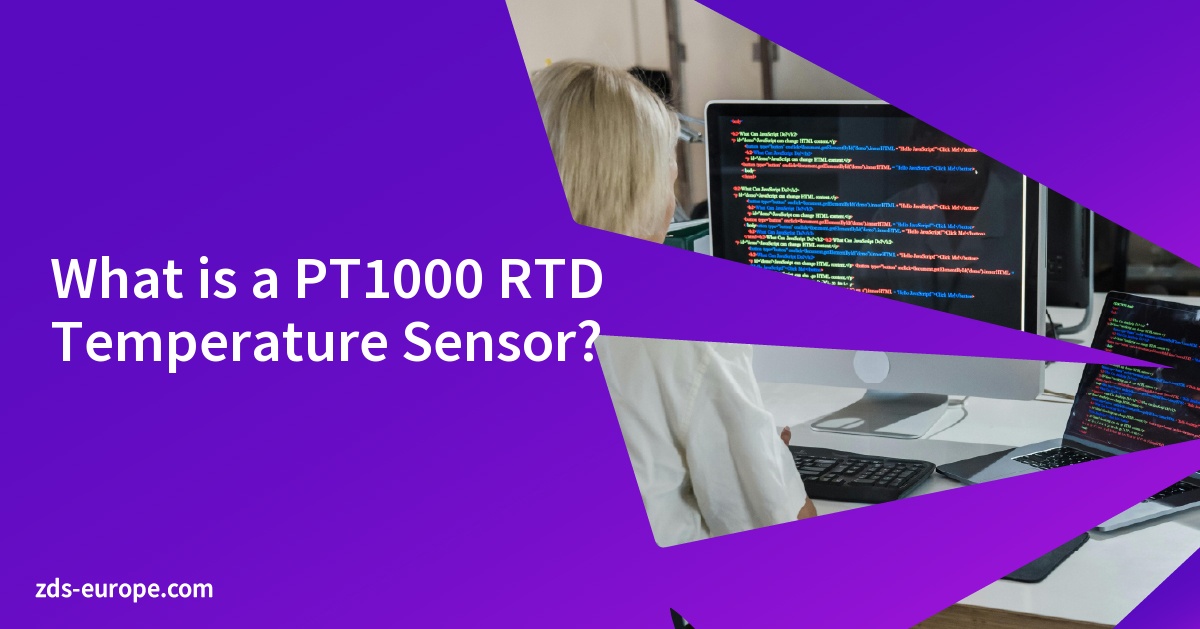 What is a PT1000 RTD Temperature Sensor?
